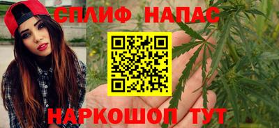 гашик Тулун