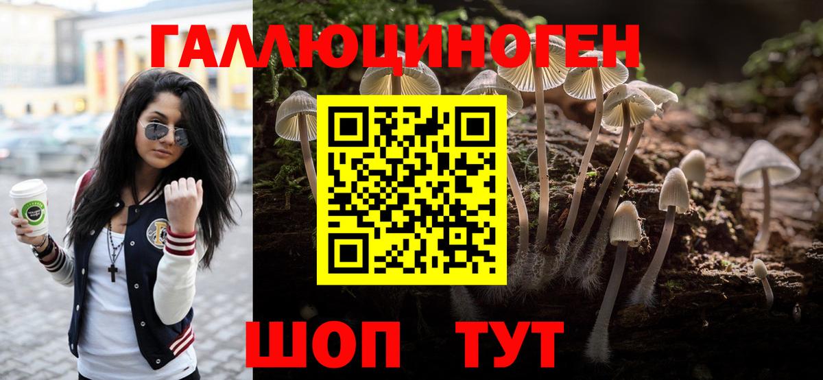Псилоцибиновые грибы ЛСД Ачхой-Мартан
