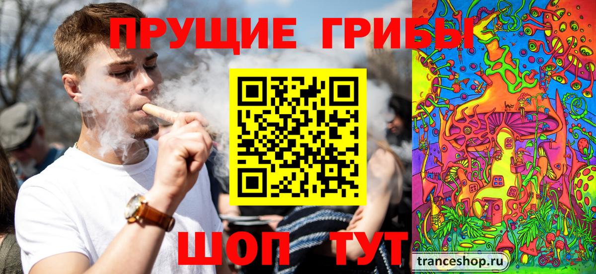 Псилоцибиновые грибы Psilocybe  Псилоцибиновые грибы Psilocybine cubensis  Ачхой-Мартан  Вход с VPN 
